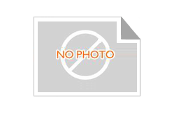 Di(2 ethylhexyl)phosphate CAS 298 07 7