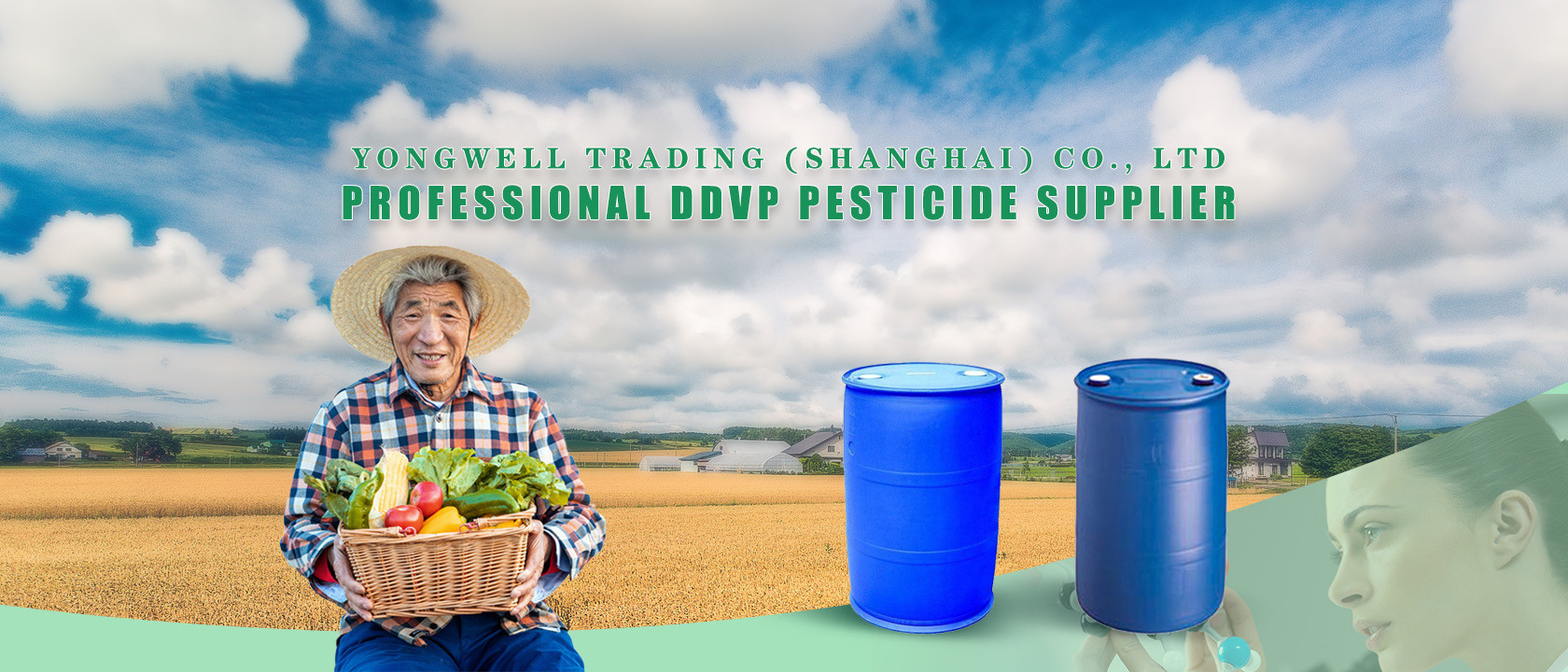 quality DDVP Pesticide factory