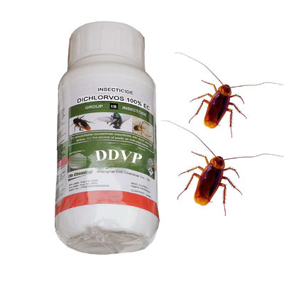 100% Pesticide Dichlorvos DDVP Insecticide 1000ec Liquid 1000g/L EC